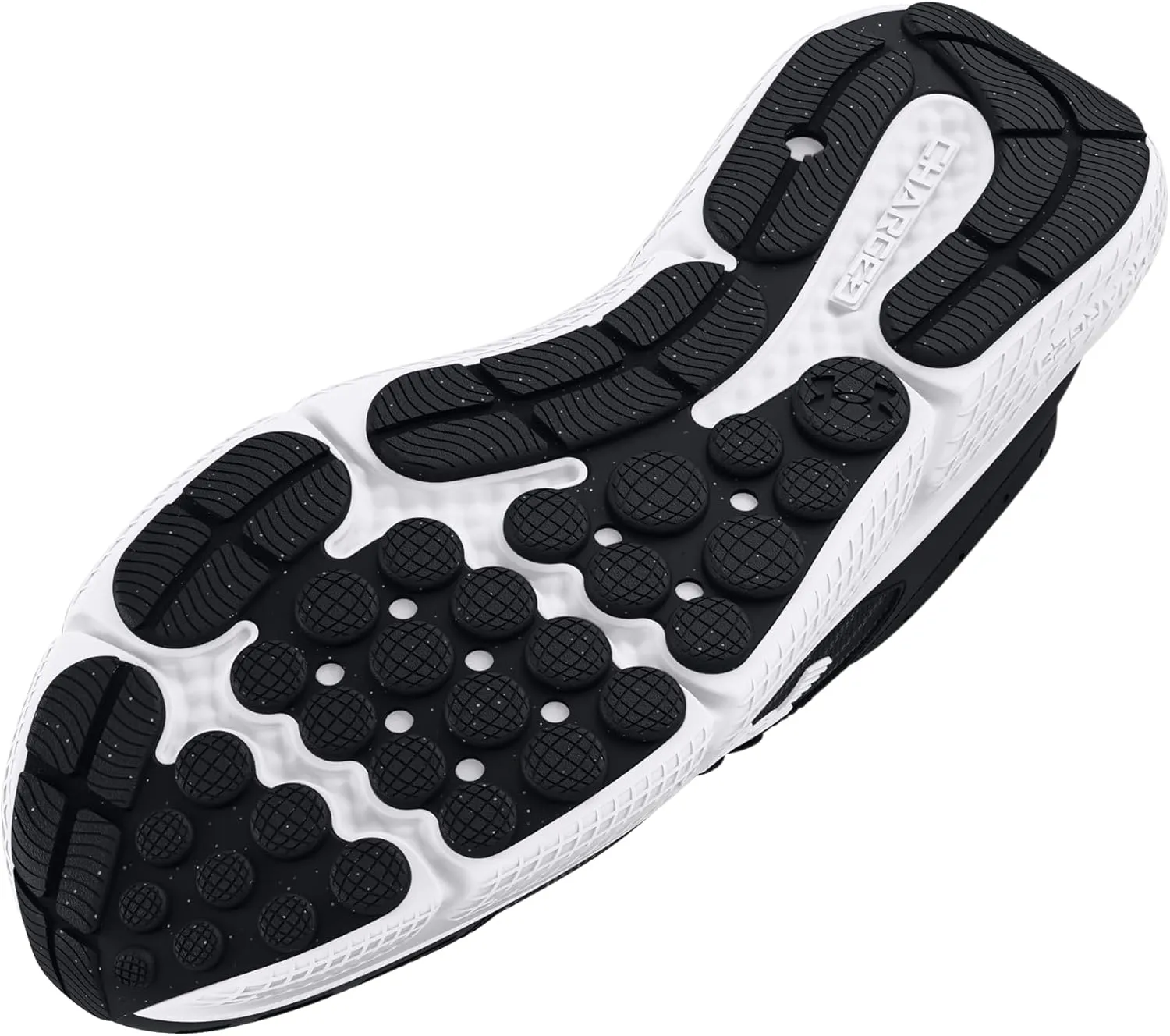 Under Armour Men's Charged Assert 10 Running Shoe