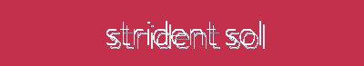 Strident Solewear | Sports, Casual, Dress & Branded Athletic Shoes